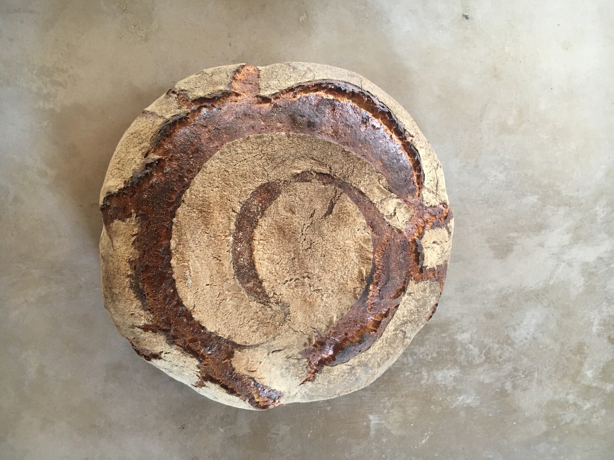 Pane campagnolo Pane campagnolo